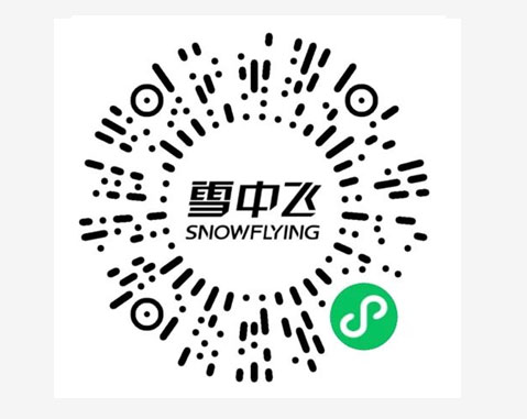 雪中飛