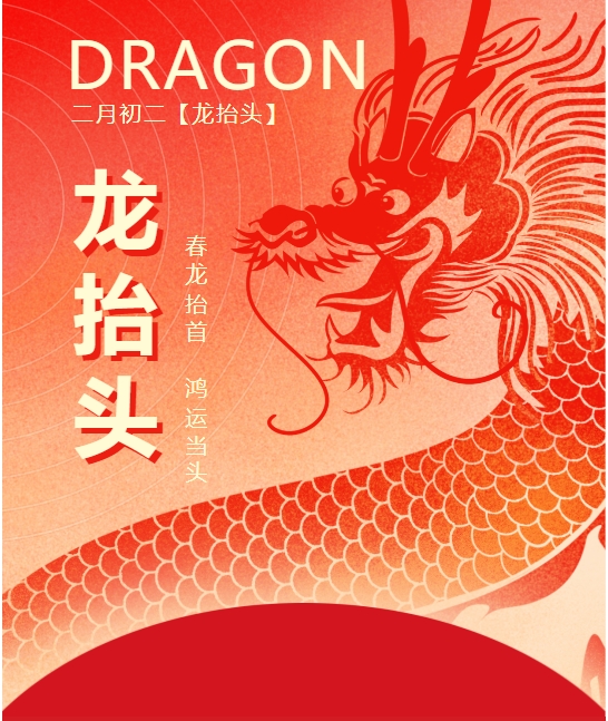 二月二龍?zhí)ь^，春龍振翅鴻運(yùn)啟 —— 佳木斯網(wǎng)云信息科技有限公司與您共迎新春盛景